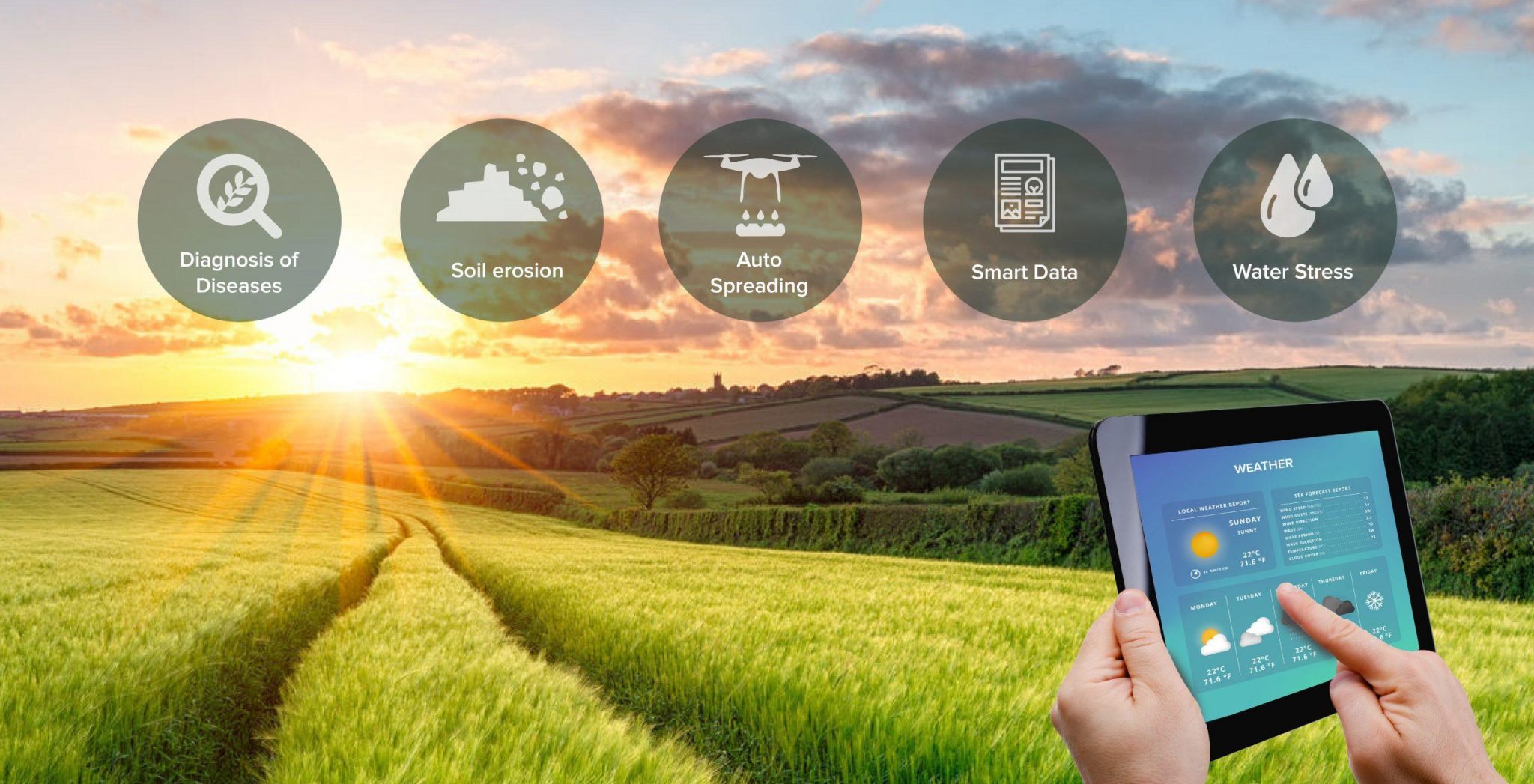 IoT Based Smart Agriculture System to Scale up the Productivity