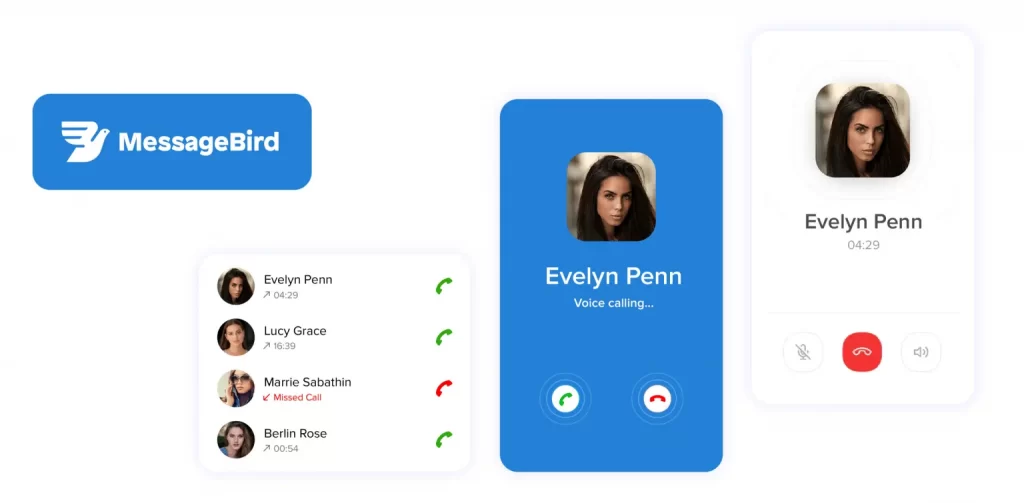 MessageBird audio communication software