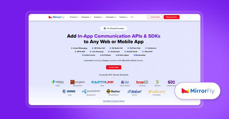 custom saas application development services