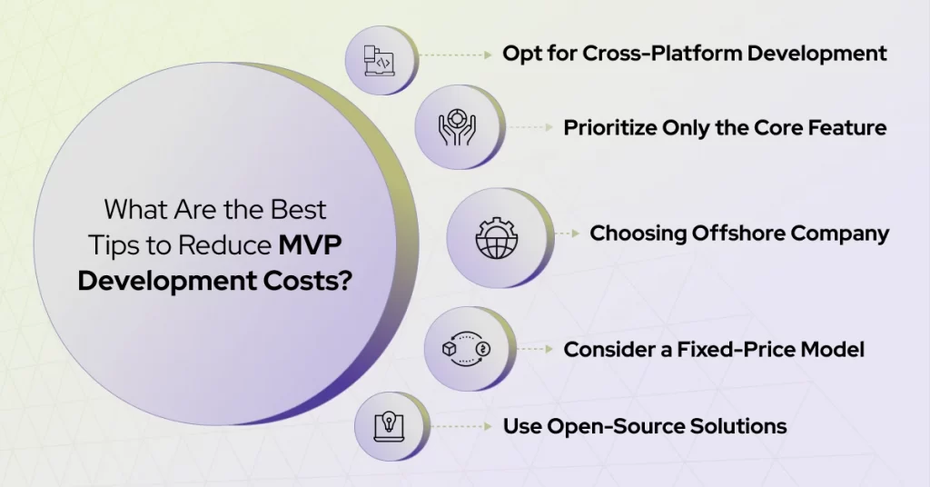 mvp development cost tips